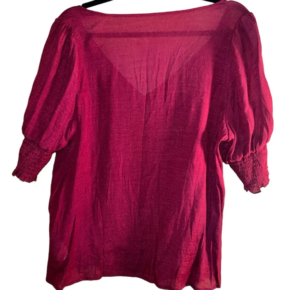 𝐒𝐇𝐄𝐈𝐍 𝐂𝐔𝐑𝐕𝐄 | RED SHEER BLOUSE - Picture 3 of 6